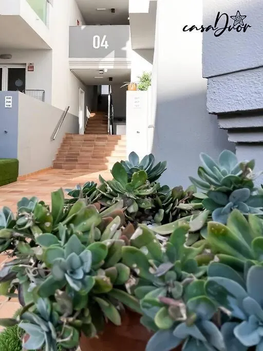 شقة B-Rent Corralejo Sun 207 Pool View
